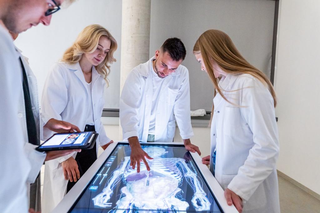 Online kurs i kjemi, biologi og fysikk Masaryk universitetet i Brno - bestill her!